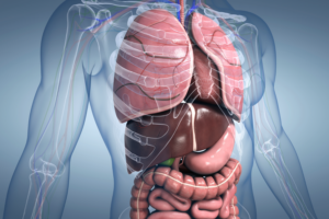 what is ligma disease