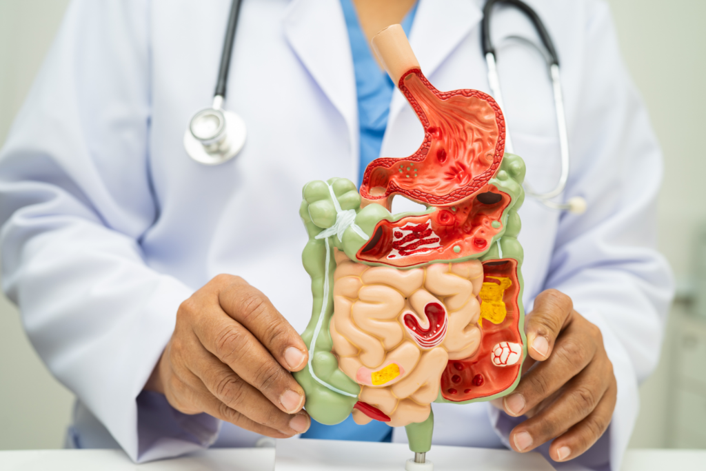gut health