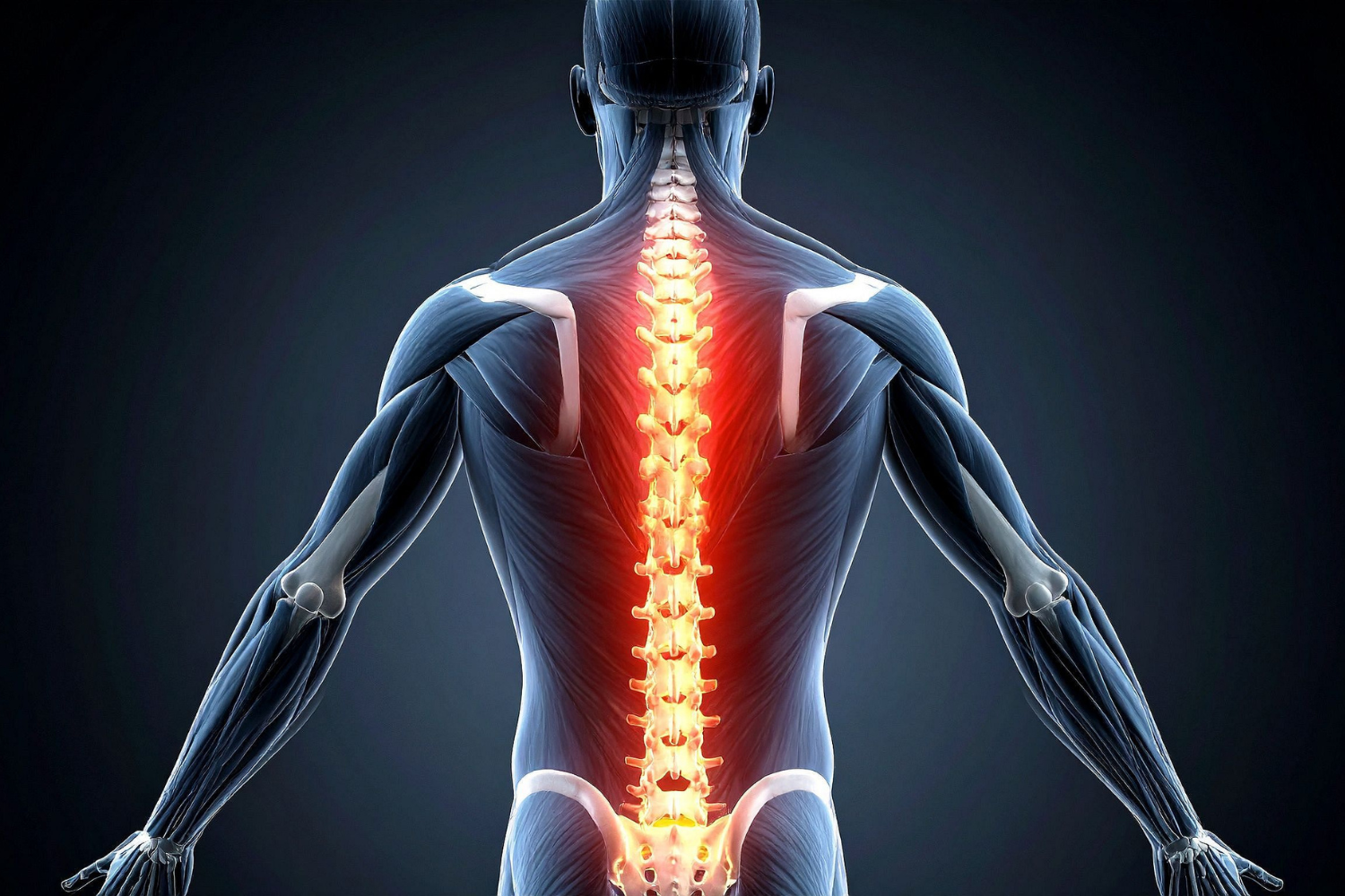 brain and spine health