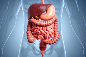 gut health
