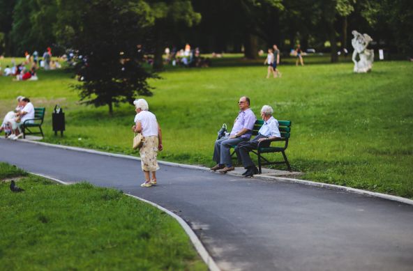 Supplements for senior citizens 2